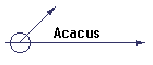Acacus