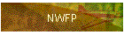 NWFP