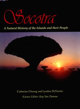 Socotra