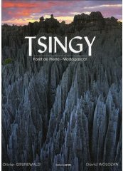 Tsingy : Forêt de Pierre - Madagascar
