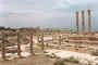 forum.jpg (106258 bytes)