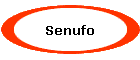 Senufo