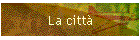 La citt