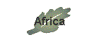 Africa