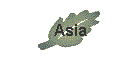 Asia