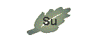 Su