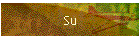 Su