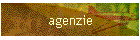 agenzie