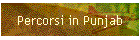 Percorsi in Punjab