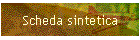 Scheda sintetica