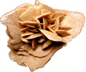 Le rose del deserto